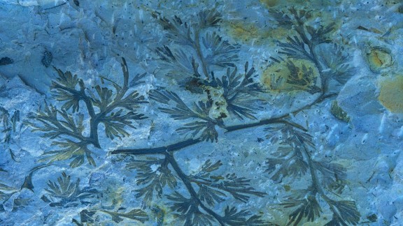 二手车出险记录查询流程示意图